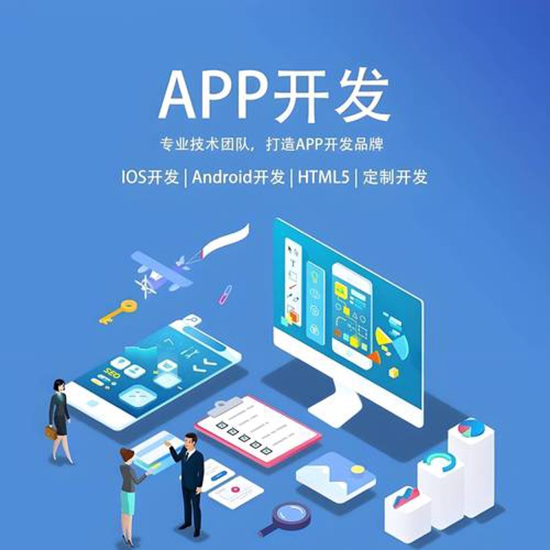系统开发：推动企业数字化转型的关键路径